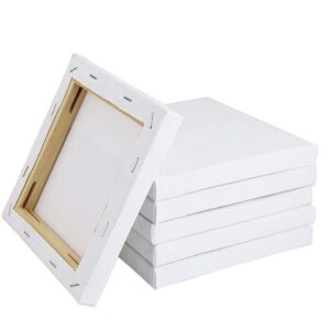 Canvas 8 x 8
